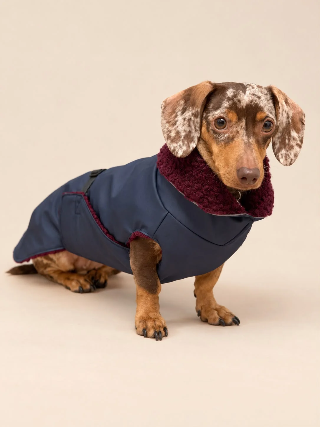 Regenmantel – Ausführungsbeispiel
